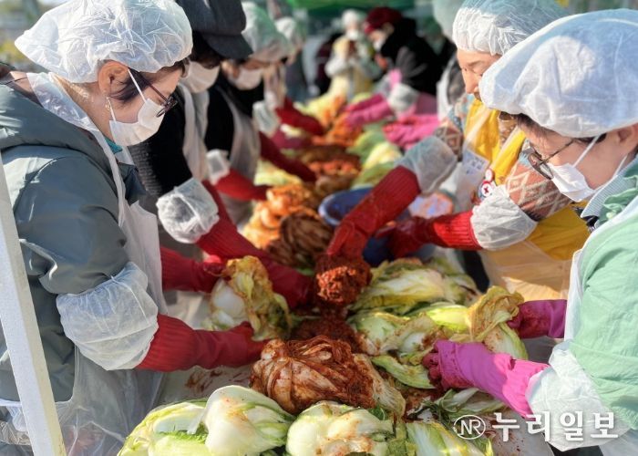 고양시여성단체협의회 회원과 자원 봉사자들이 김장하고 있다.
