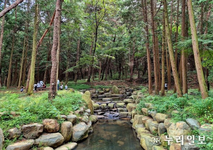 사천시 곤명면 용산리 다솔사 인근 사방시설