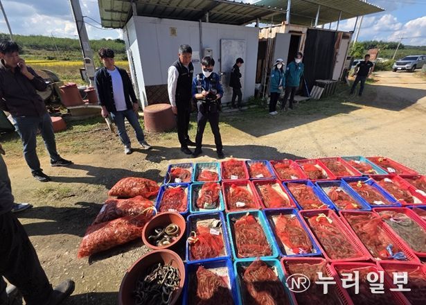 야생동물 밀렵·밀거래 적발