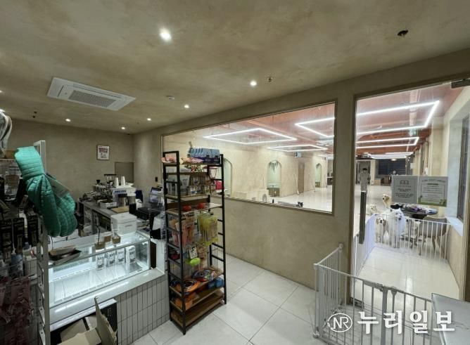 수원시 팔달구, 행궁동 식품접객업소 대상 반려동물 출입 관련 현장점검 실시