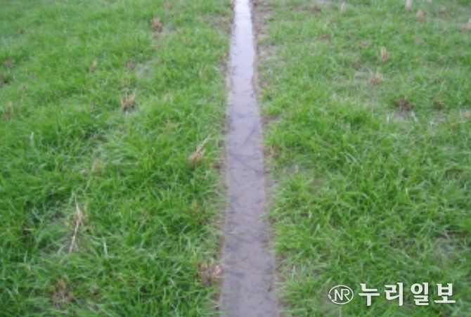 배수로가 정비된 재배지