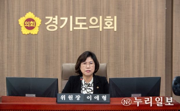 경기도의회 이애형 의원