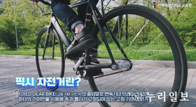 픽시 자전거 안전사고 예방 영상 5종 제작·배포