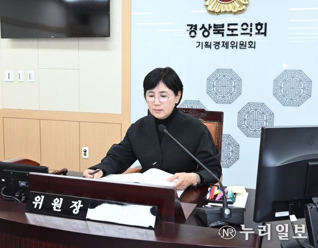 에너지국, 메타국 행감 진행하는 이선희 기획경제위원장