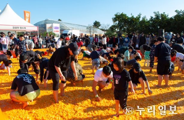 2025 제주감귤박람회