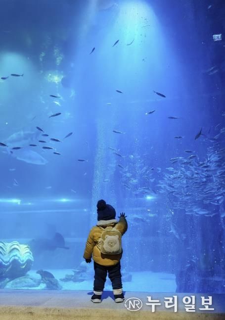 구리 교문2동 협의체, 취약계층 아동·청소년 대상 문화·체험학습 지원 사업 추진