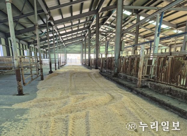새 깔짚으로 건조한 환경 제공