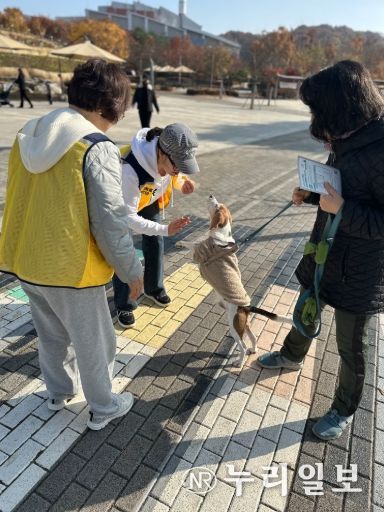 반려동물 관련 사진