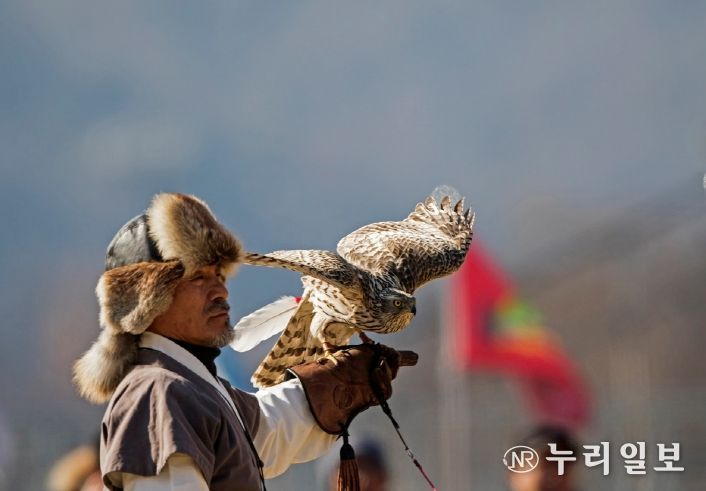 보유자 박용순 응사, 참매 훈련 과정과 매사냥 공개