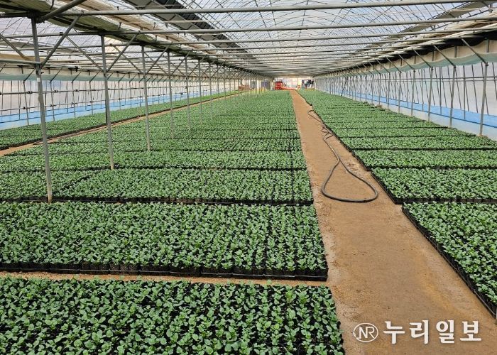 비산3동 꽃양묘장