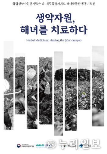 <생약자원, 해녀를 치료하다> 전시 개막식