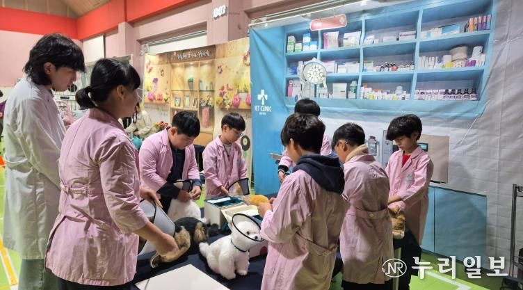 화천교육지원청, 찾아가는 초등 진로 프로그램 ‘고 투 스쿨(Go To School)’ 운영