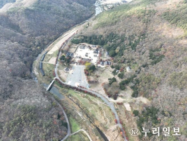 보림사 비자림 일원 사진