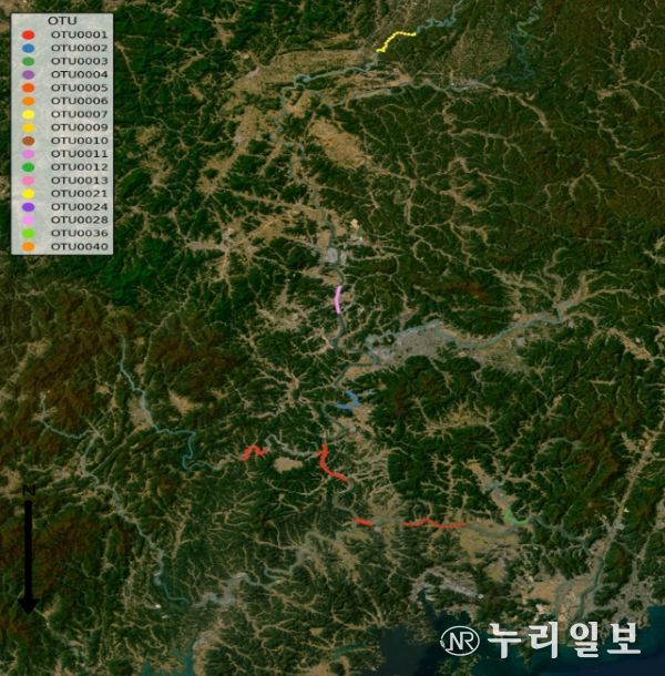 낙동강수계 유전형 분포
