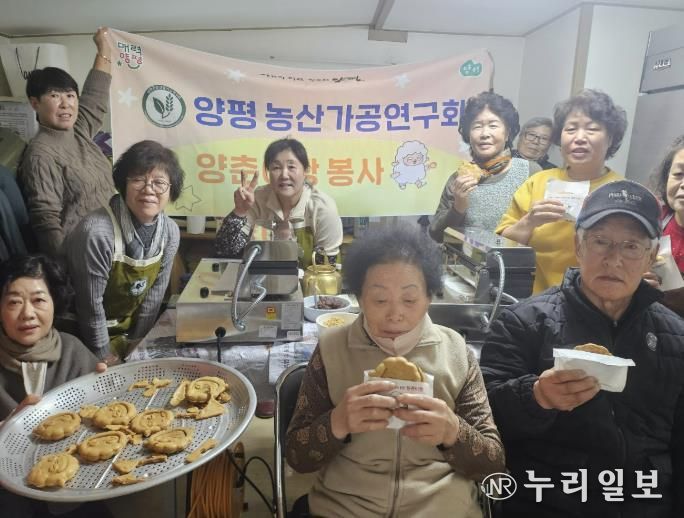 양평밀 활용 '양춘이 빵' 지역 나눔 행사 12월부터 본격 추진