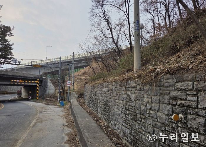 남양주시, 양정동 도심 가시박 제거로 생태환경 개선(제거 후)