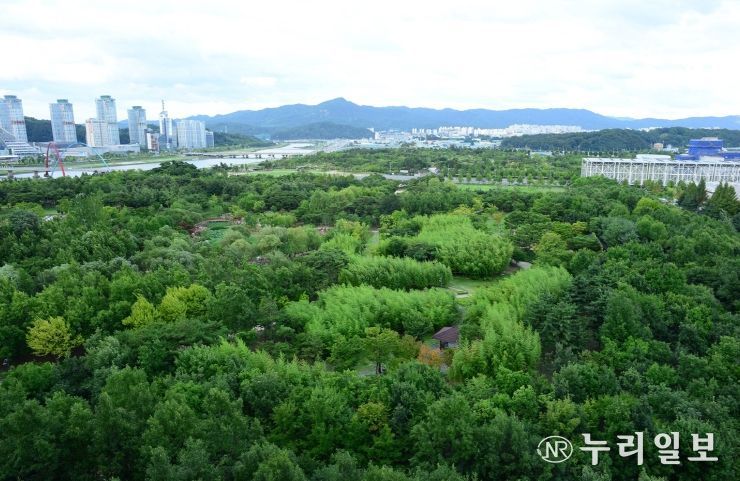 대전시 기후대응숲 3년 동안 19.3㏊ 조성