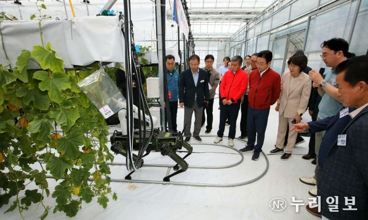 참외 산업 혁신 성과 주목!