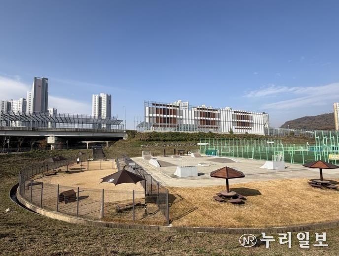 송산 반려견 놀이터
