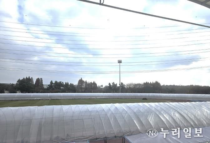 시흥도시공사, 동절기 육상경기장 비닐온실 트랙 시민 개방시간 확대
