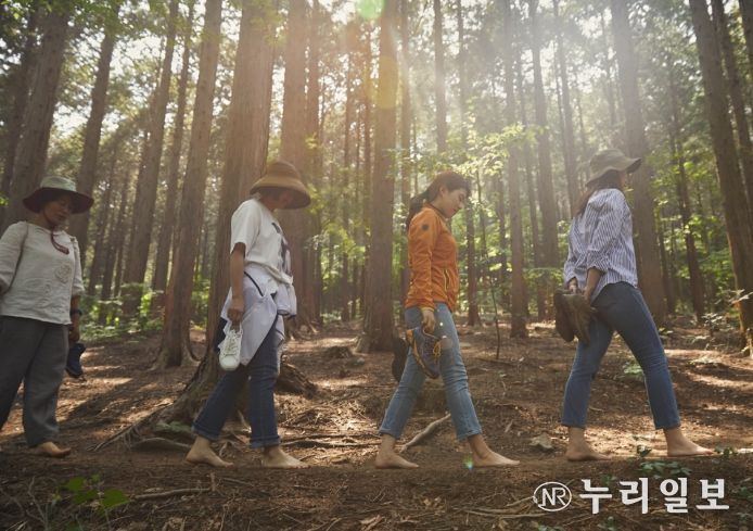 산림치유프로그램 오감걷기