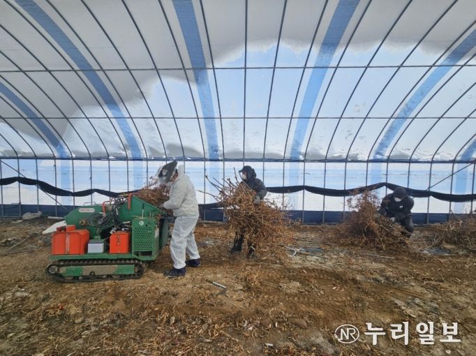 영농부산물 파쇄 모습