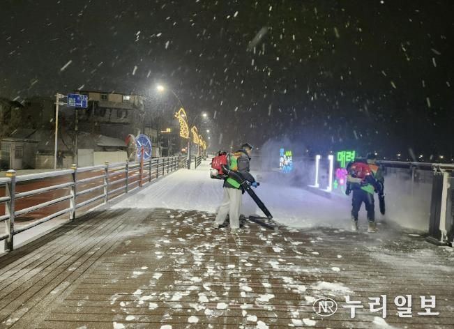 양평군지역자율방재단 제설작업