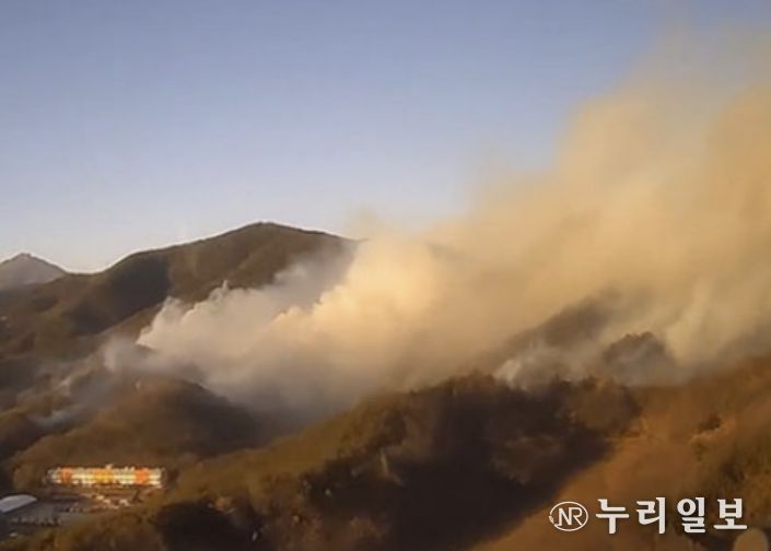 전남 광양시 주택 화재, 산불 확산 광경