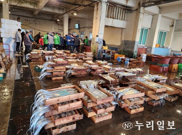 제주도, 설 명절 대비 제주산 수산물 안전관리 강화