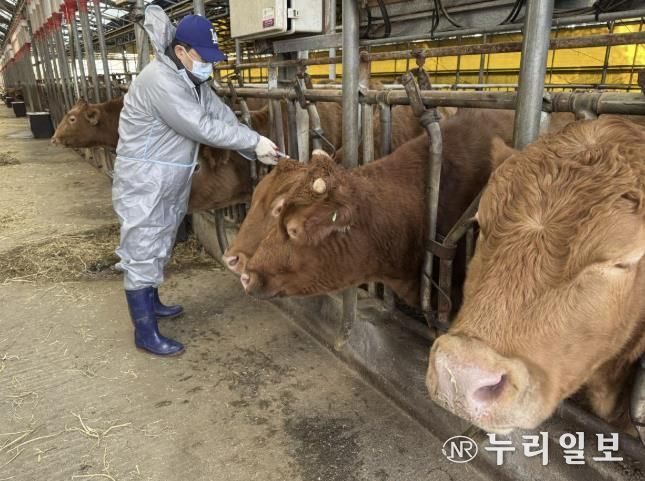 가축전염병 예방백신 일제접종