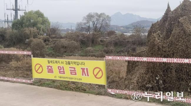 창릉천 철새도래지 출입통제