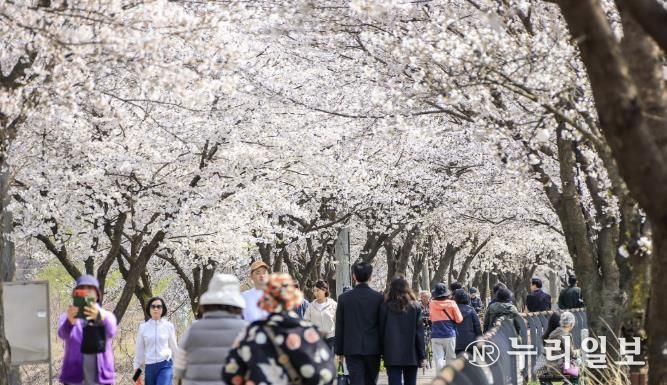 양평군, 제9회 갈산누리봄 축제 체험·마켓 부스 모집