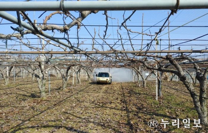 충남 지역 배 과수원 월동 해충 방제 2월 말 적기