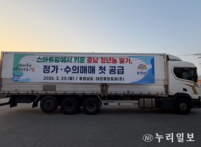 청년농 재배 딸기 1톤 정가·수의 매매 방식 시범 공급