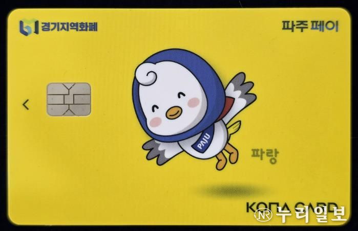 파주페이 실물 카드