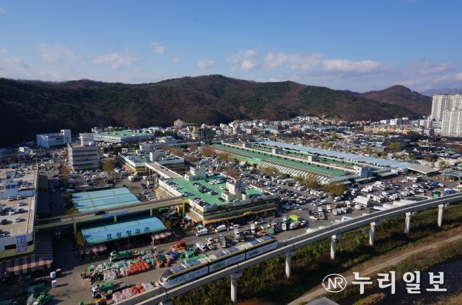 농수산물도매시장 전경