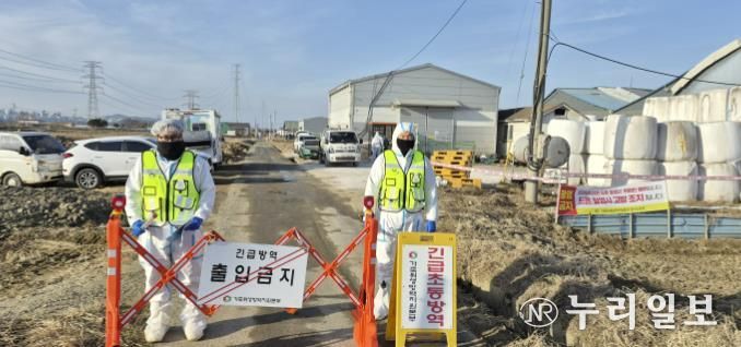 구제역 발생 농가 현장