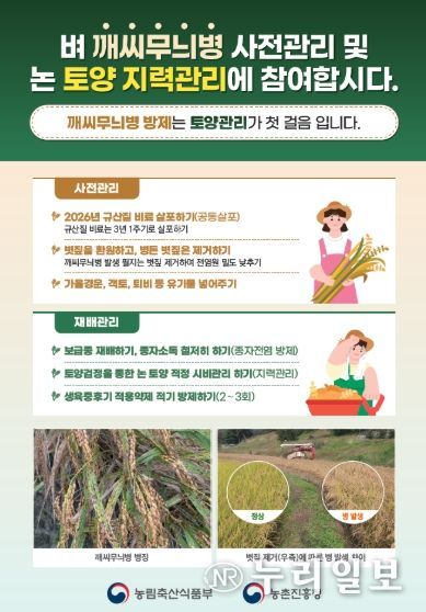 벼 깨씨무늬병 사전 관리 및 논 토양 지력 관리 방법 안내문