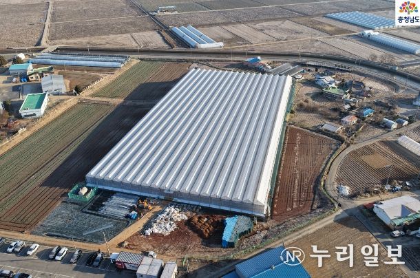 충남도 스마트농업본부