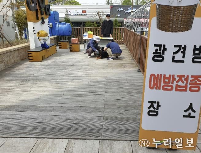 여주시, 상반기 광견병 무료 접종 실시