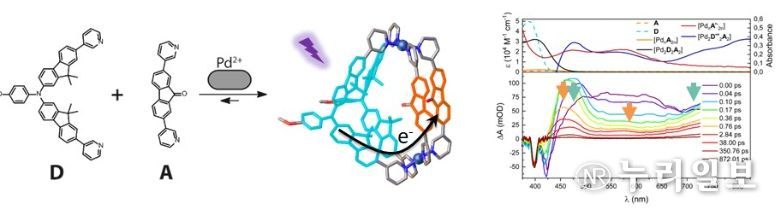광유도 전하 분리 초분자 나노구조 규명