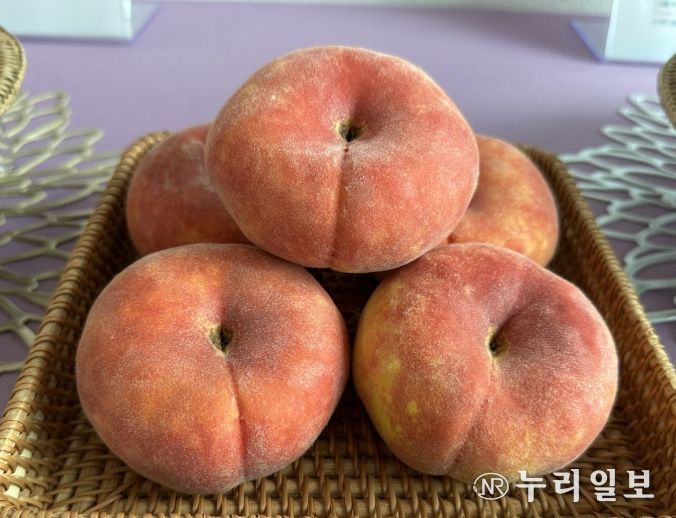 경북농업기술원, 복숭아 2가지 신품종 품종보호출원