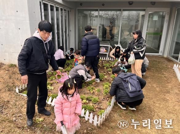 ‘가족과 함께하는 봄동수확체험’봄 찾으러 오세요~