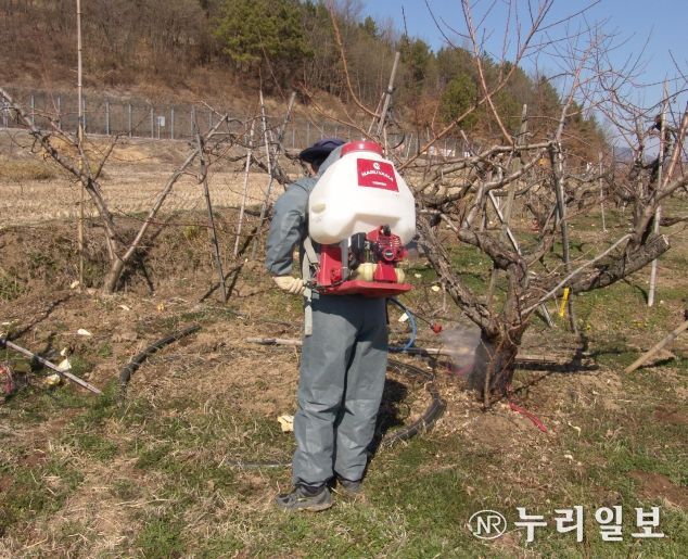 복숭아 병해충 선제 대응, 동계 방제