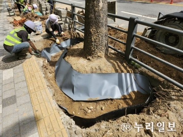 방근시트를 설치해 정비하는 모습