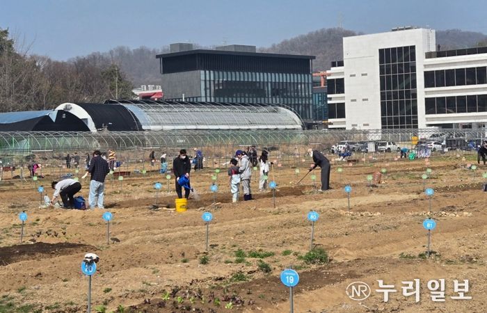 광명시 하안동 밤일마을에 자리한 시민주말농장에서 시민들이 땅을 가꾸고 있다.