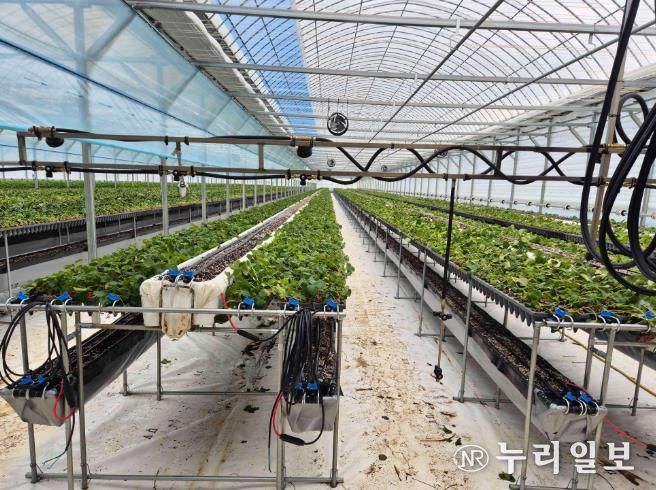 친환경농업육성기금 사진-하우스 운영자금