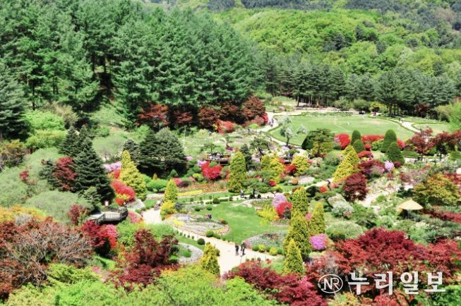 아침고요수목원, 가평 상면 주민에 '무료개방'