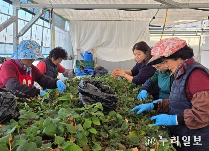 여성농업인 활동 사진