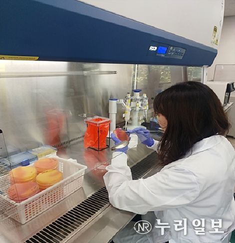 학교급식 안전성 검사